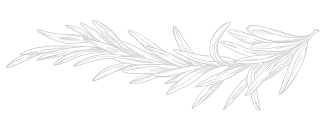 Illustration épicerie fine